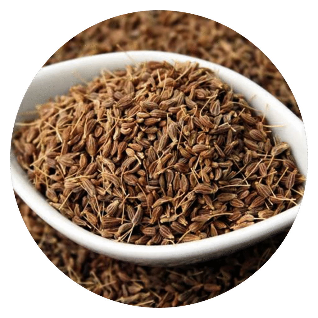Aniseed