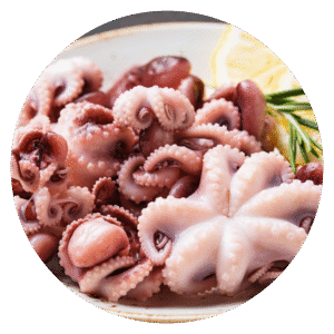 Baby-Octopus