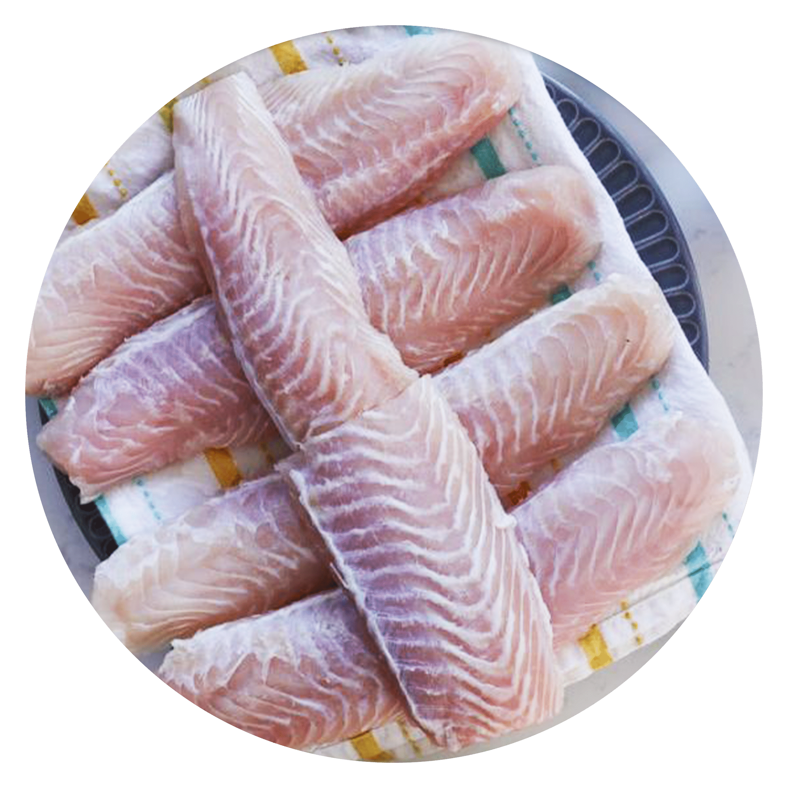 Basa