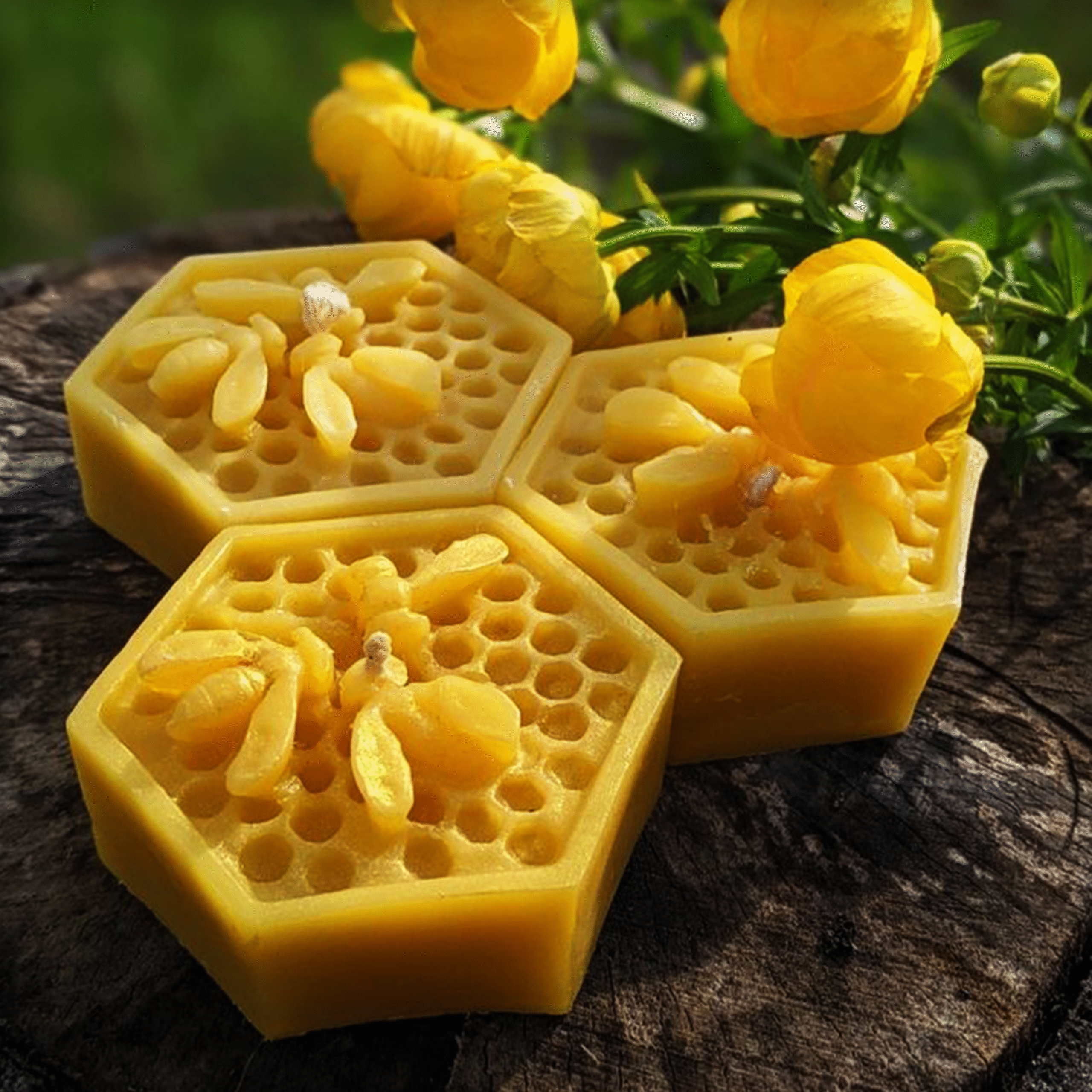 Beeswax-Candles
