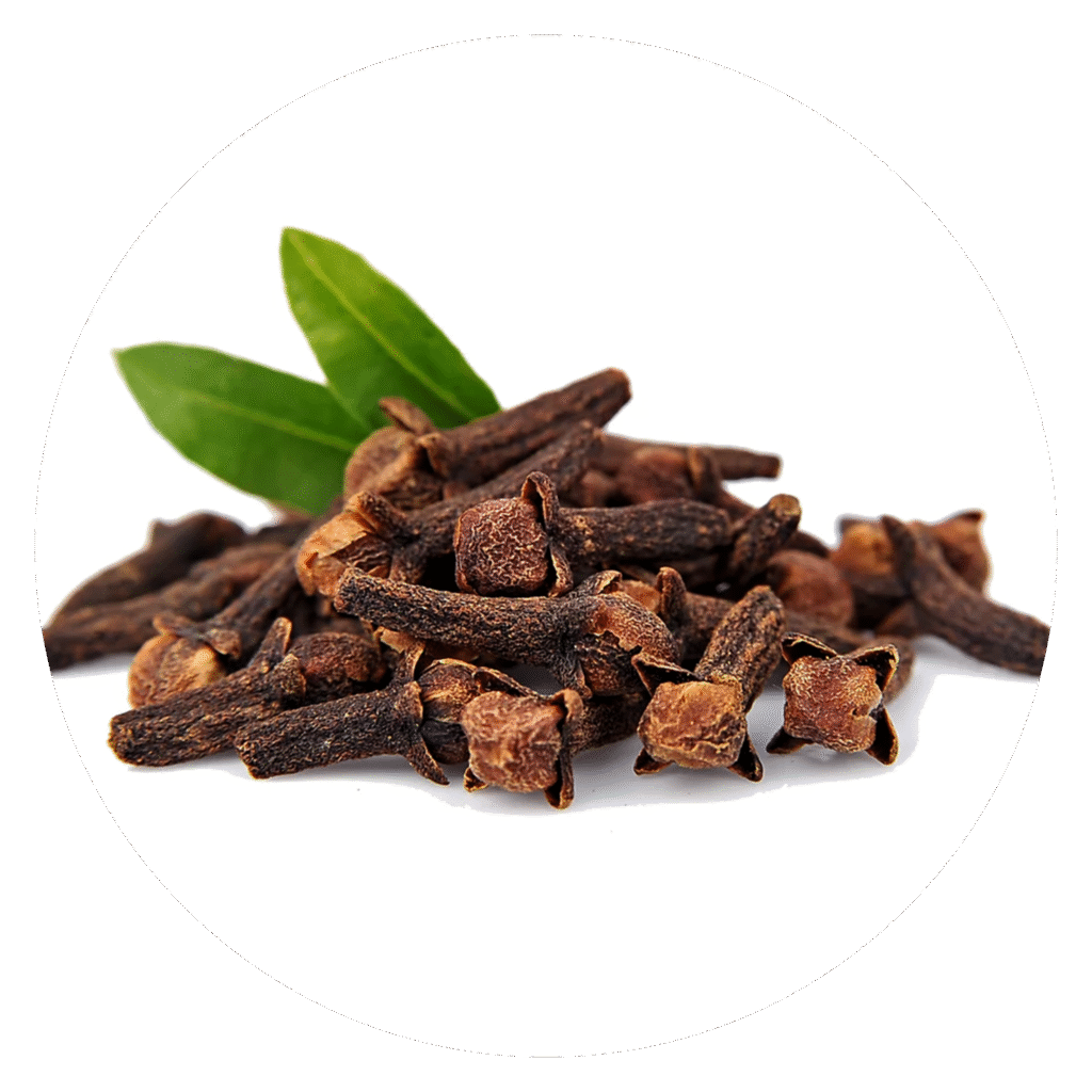 Clove