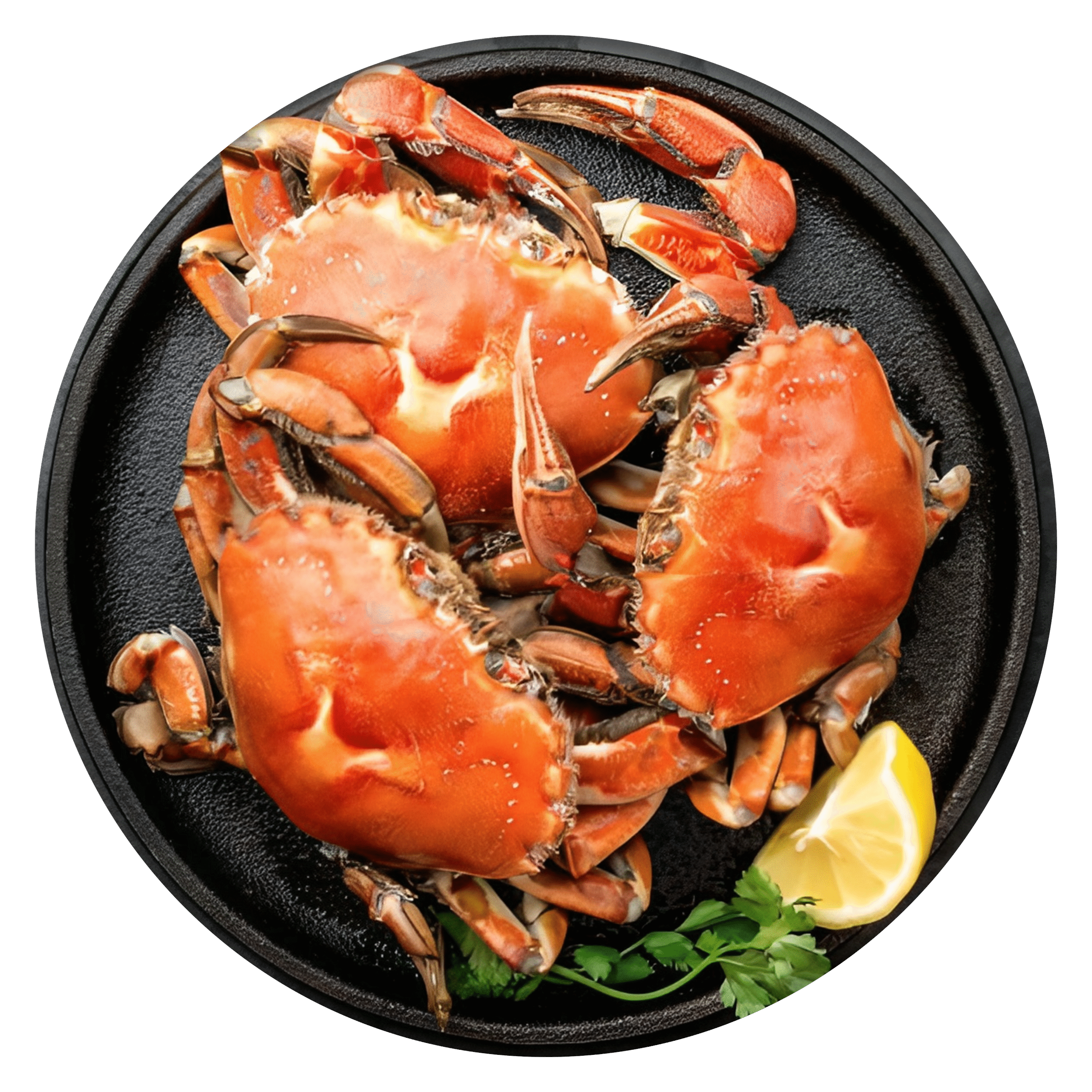 Crab