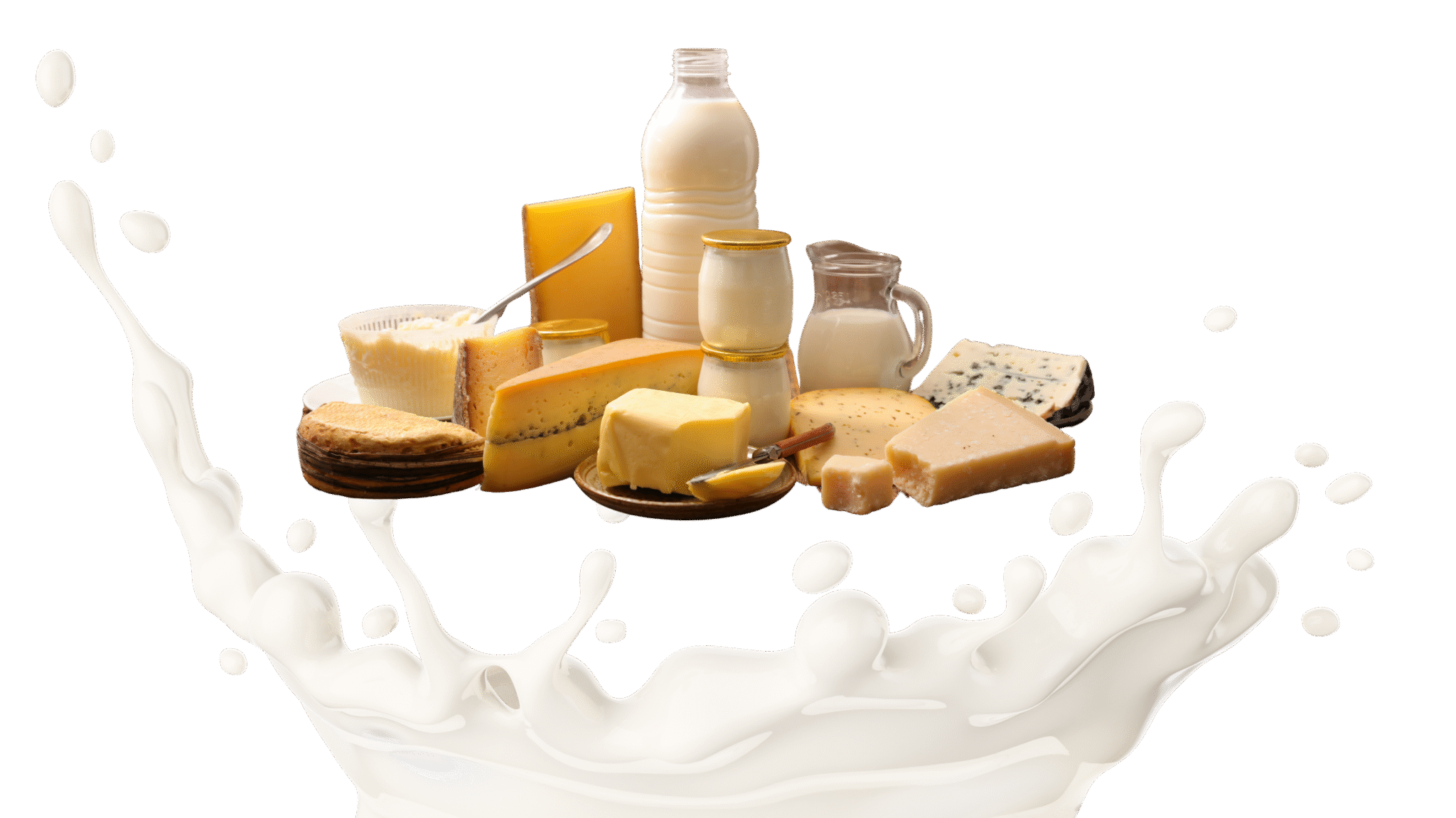 Dairy-Products
