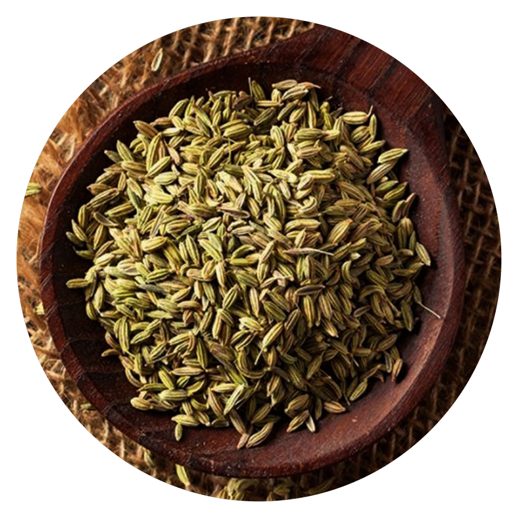 Fennel