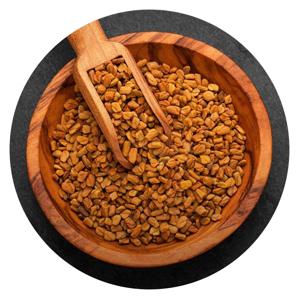 Fenugreek