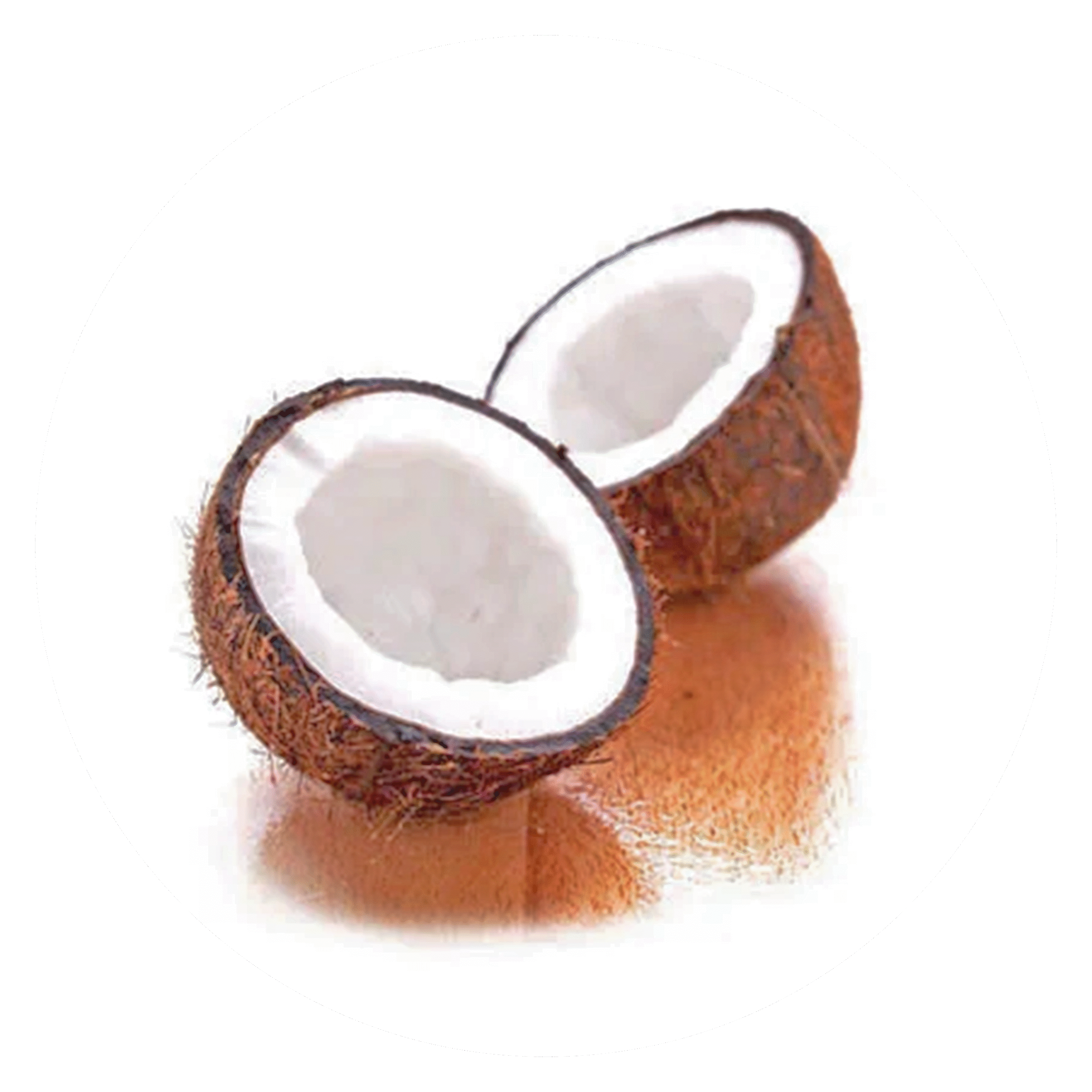 Frozen Coconut