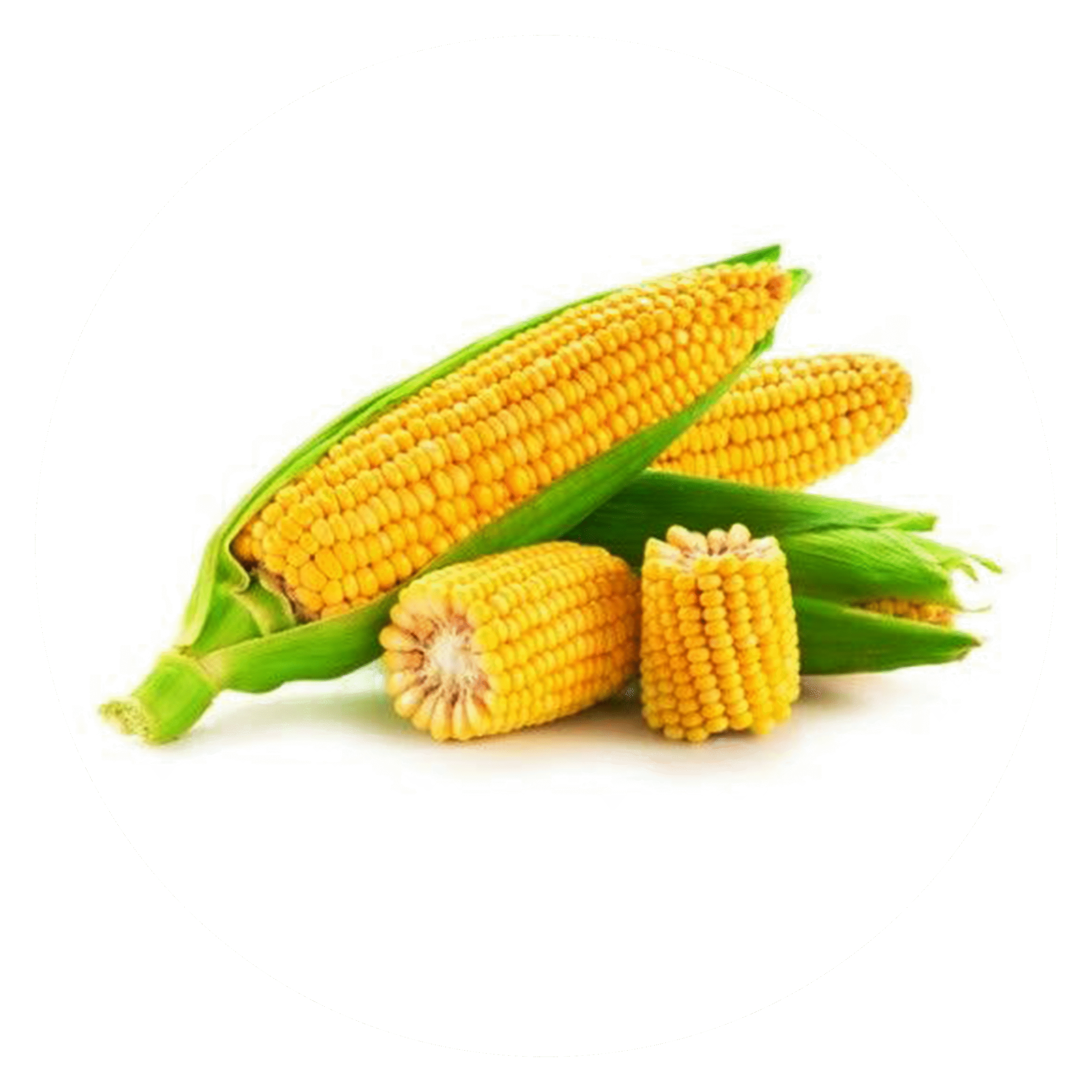 Frozen-Corn-On-Cob