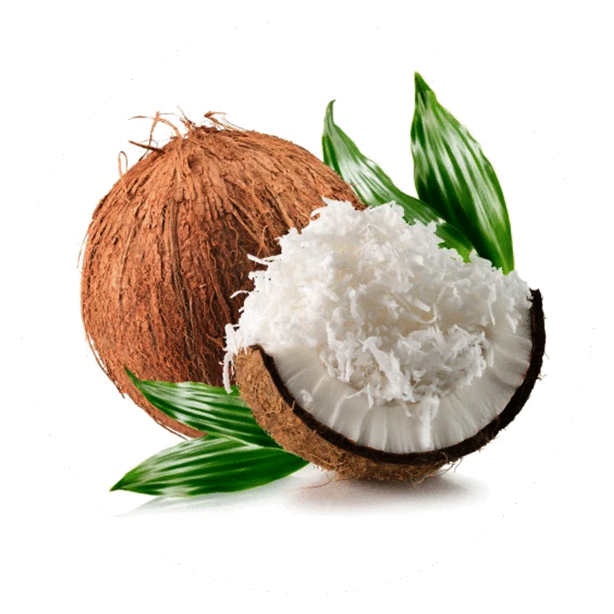 Frozen-Grated-Coconut