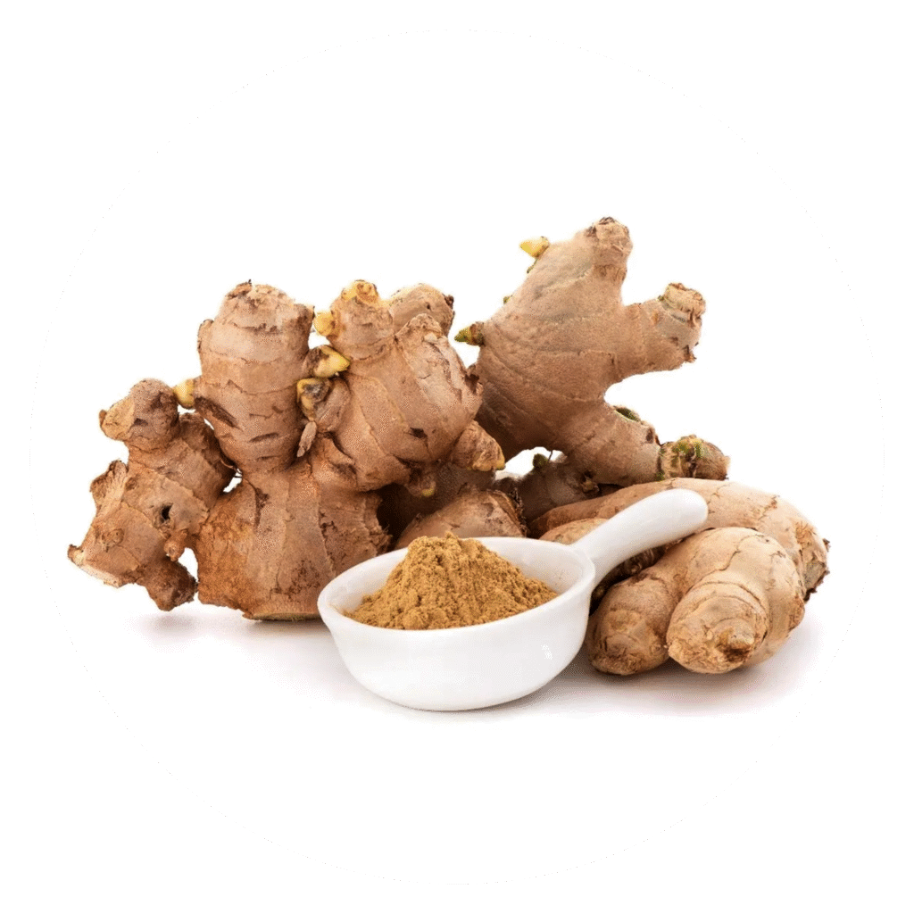 Ginger