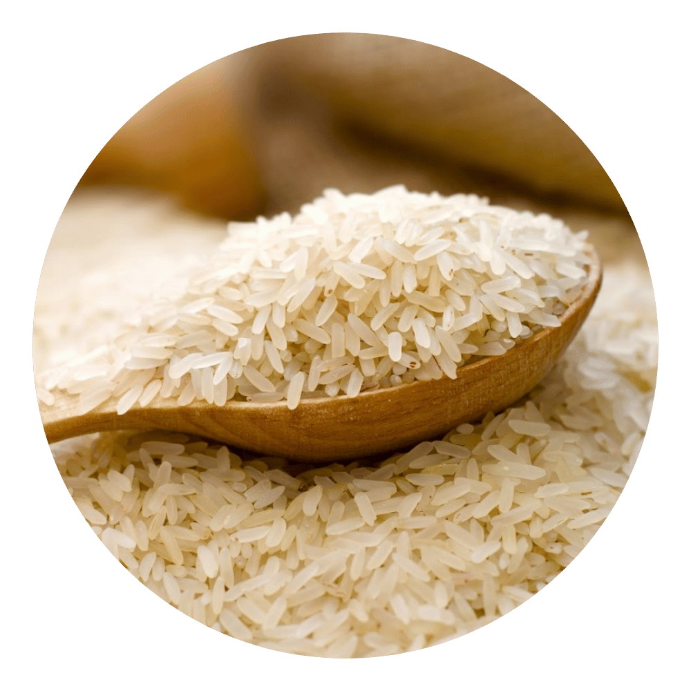 IR-64-Rice
