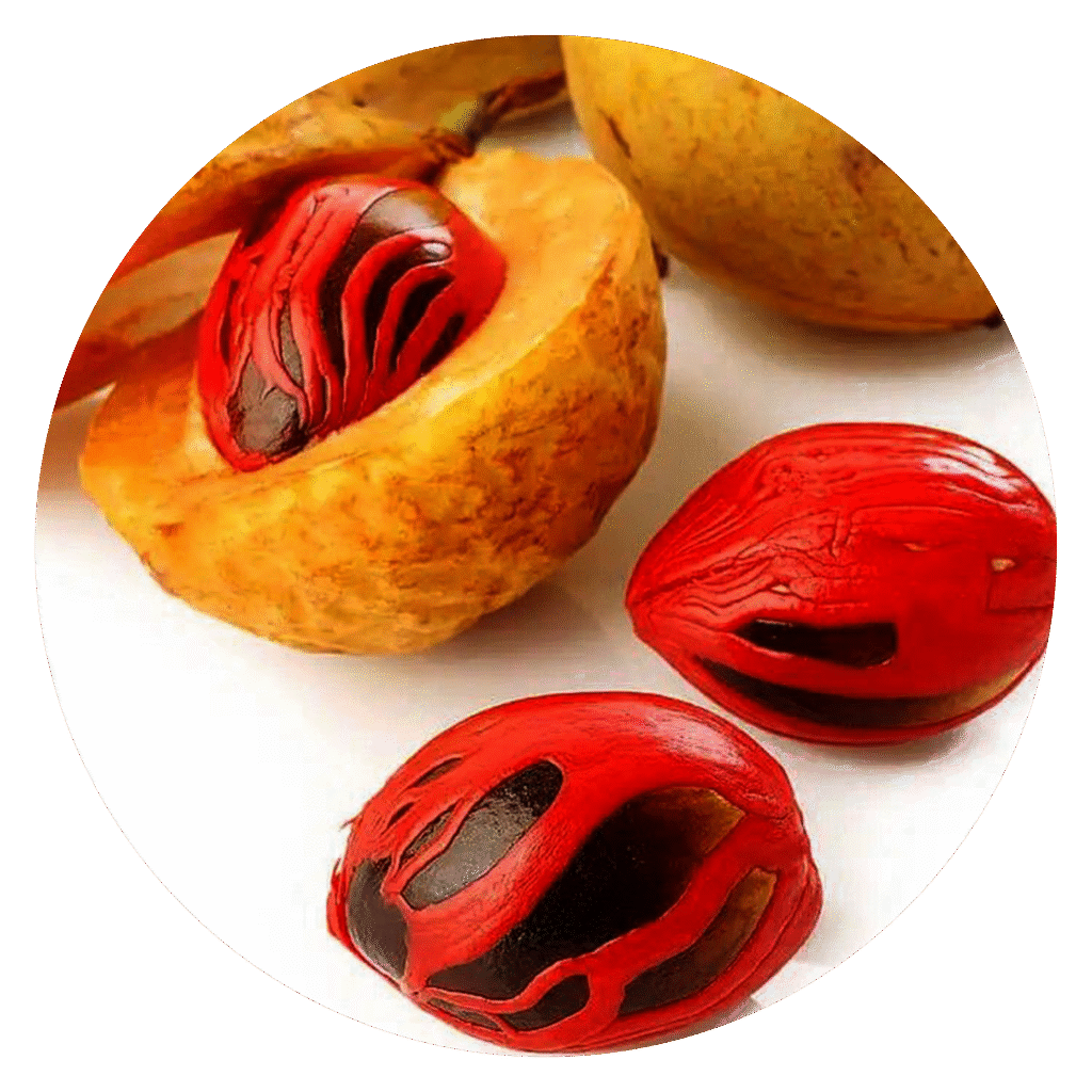 Nutmeg-Mace