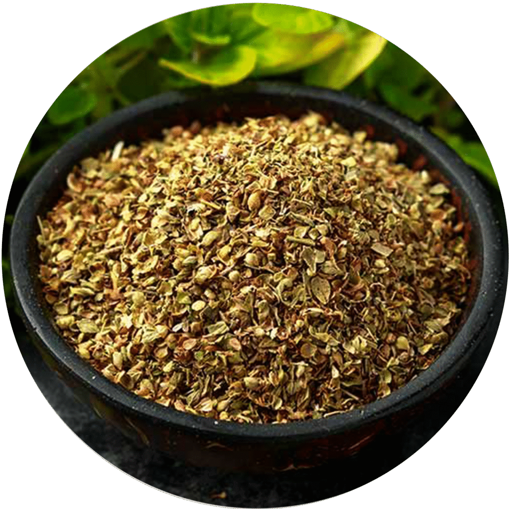 Oregano