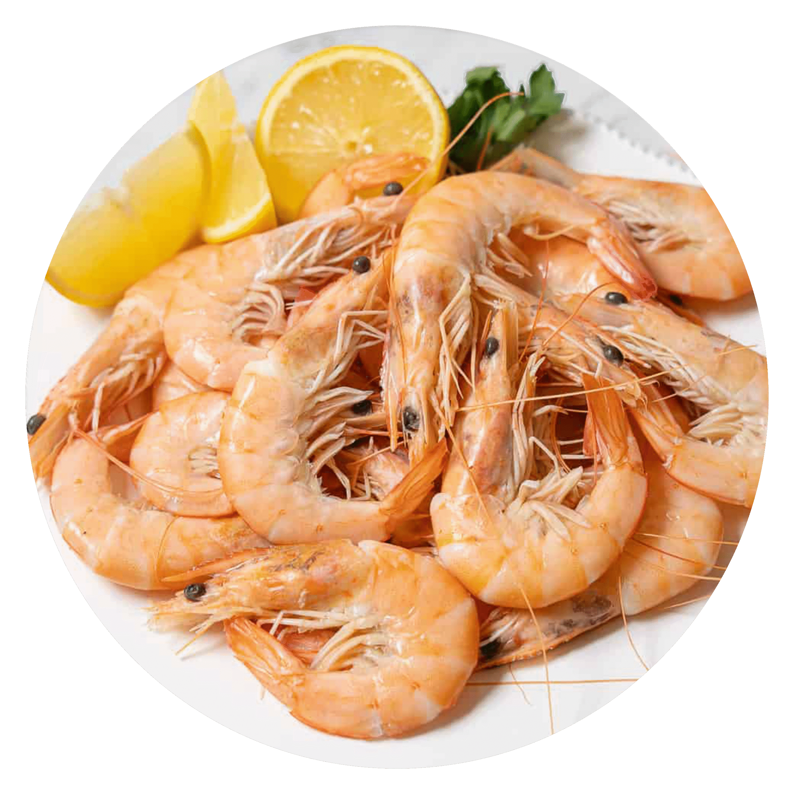 Prawns