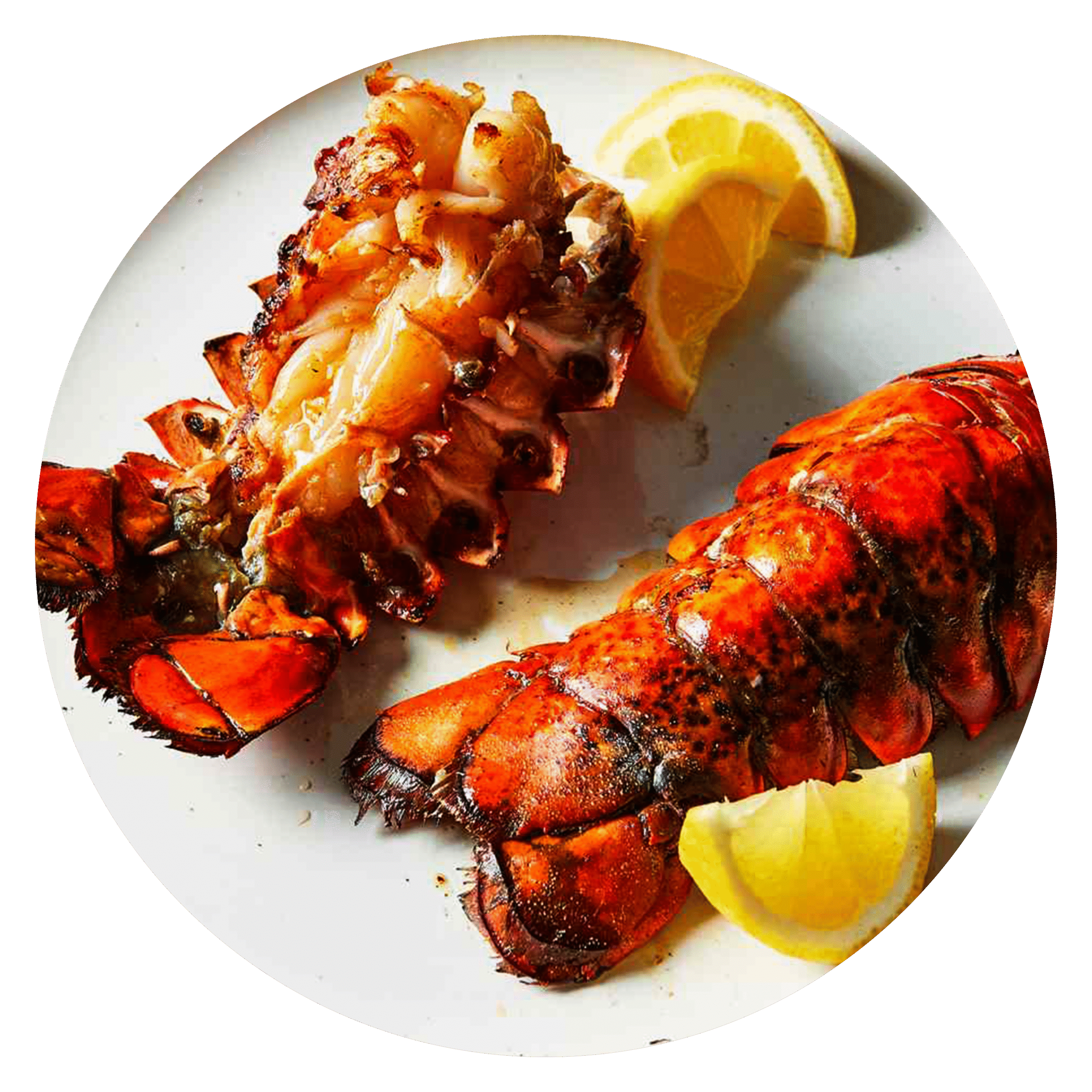 Sand-Lobster