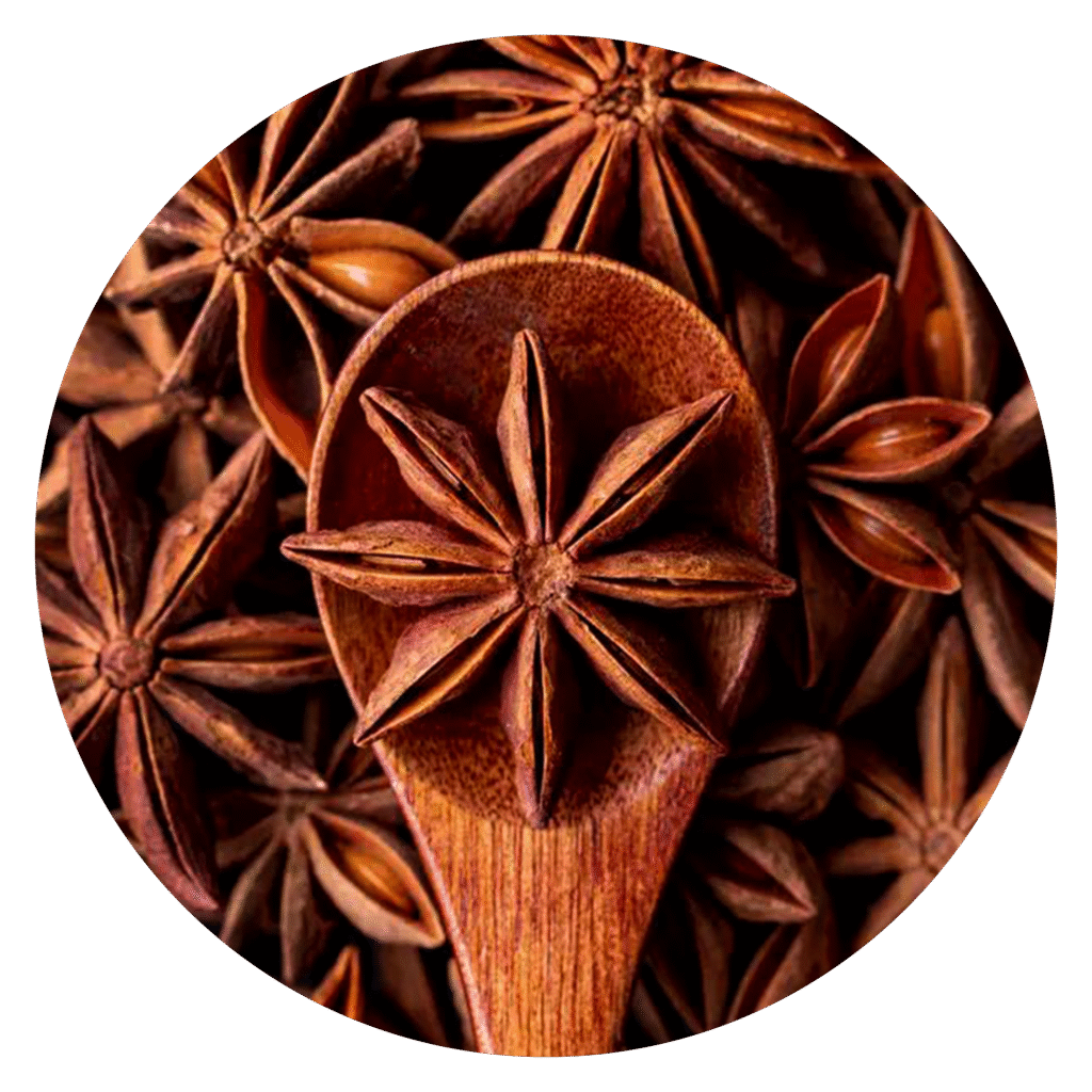 Star-Anise