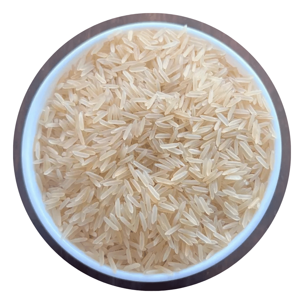 Sugandha-Golden-Sella