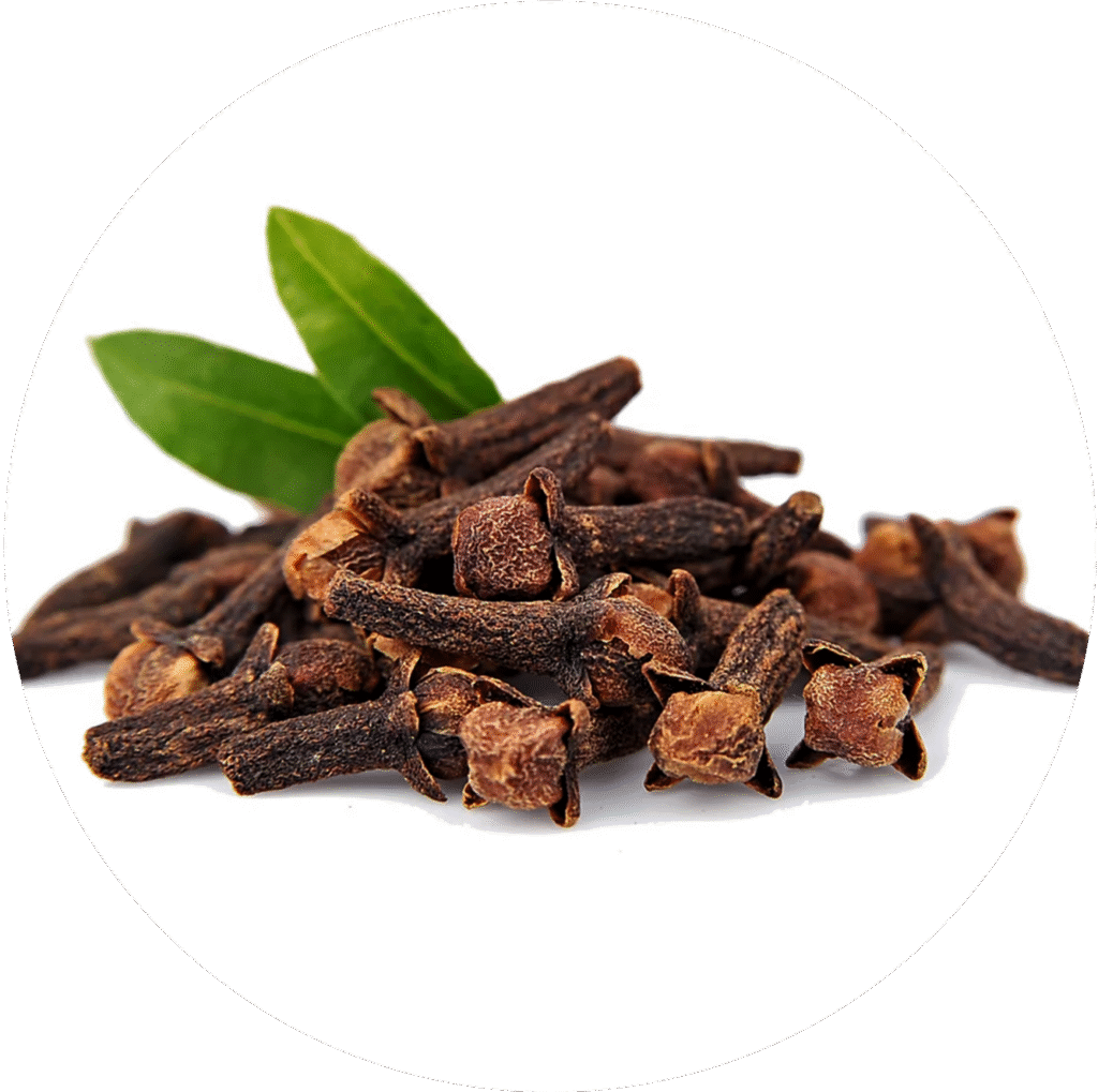Clove