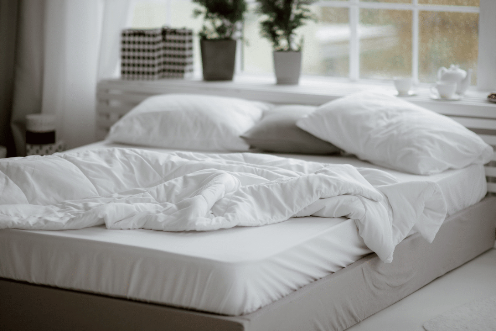 Duvets-Duvet-Covers