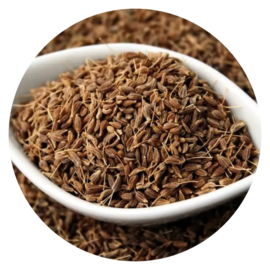 Aniseed