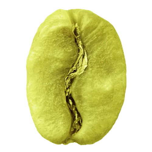 Green Arabica Bean