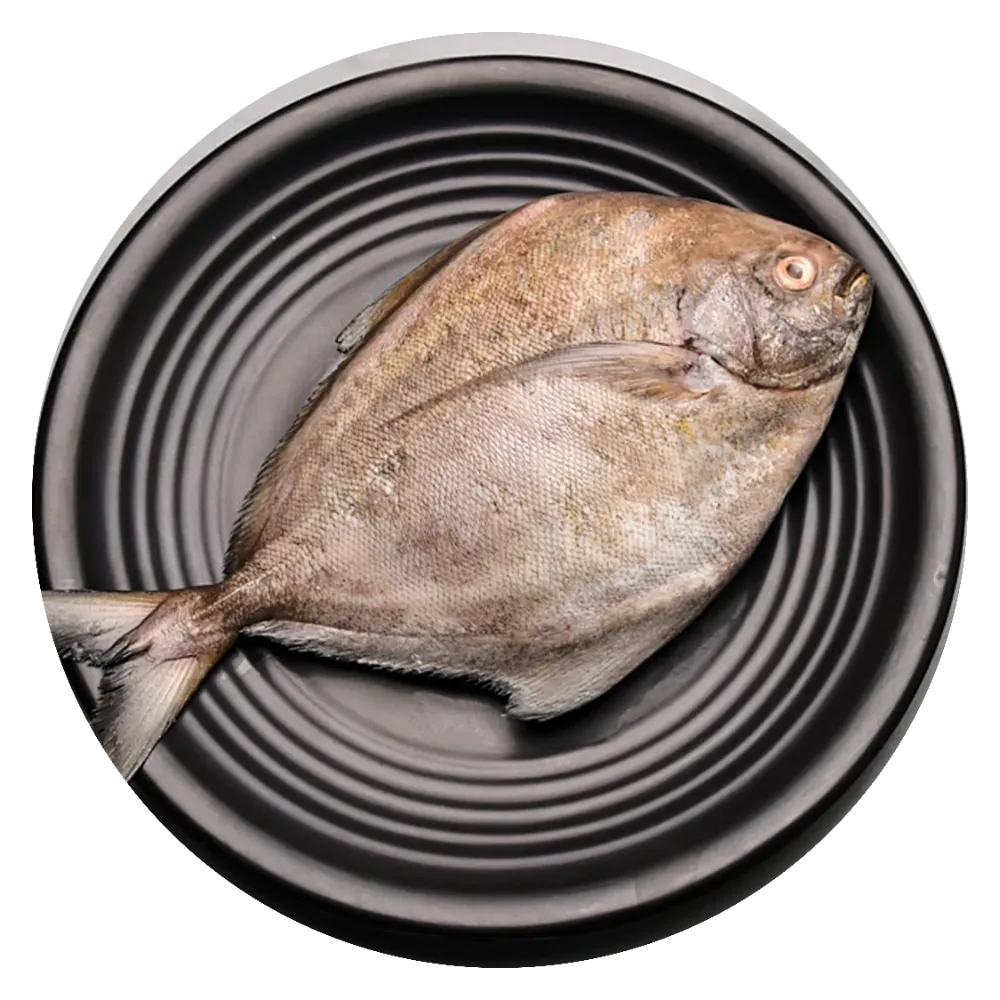 Black-Pomfret