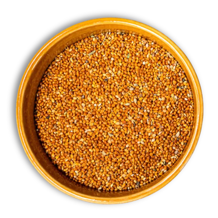 Premium Chena-Proso millet grains for export