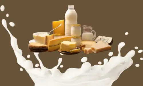 Dairy Products