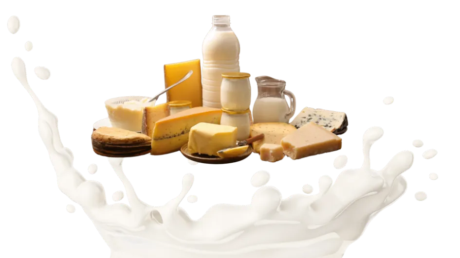 Dairy-Products