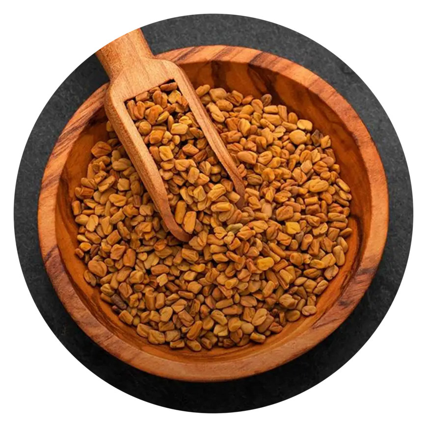Fenugreek