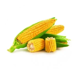 Frozen-Corn-On-Cob