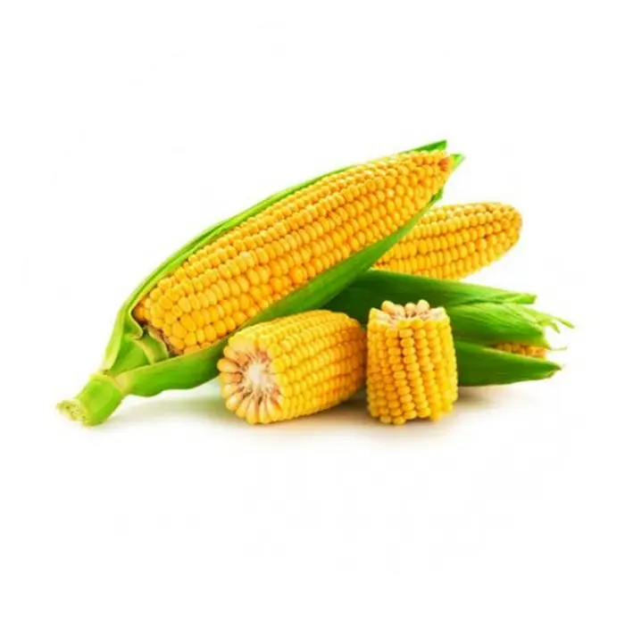 Frozen-Corn-On-Cob