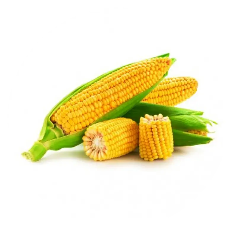 Frozen-Corn-On-Cob