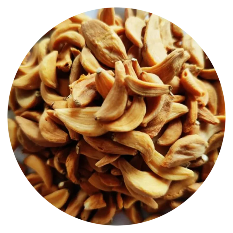 Dehydrated Garlic