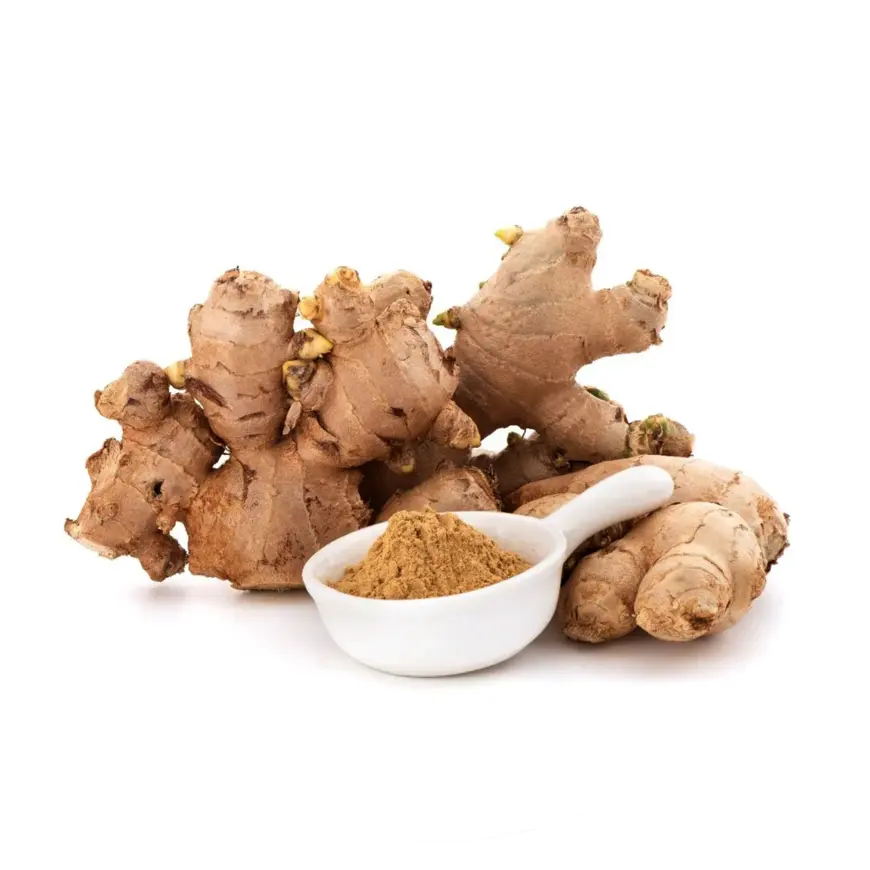 Ginger