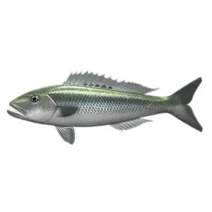 Green Job Fish