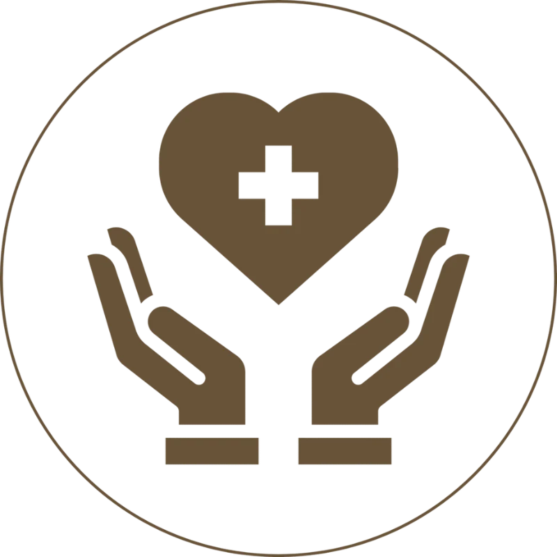 Healthcare graphic icon