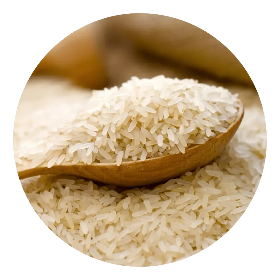 IR 64 Rice