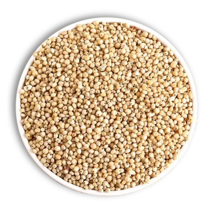 Premium Jowar-Sorghum millet grains for export