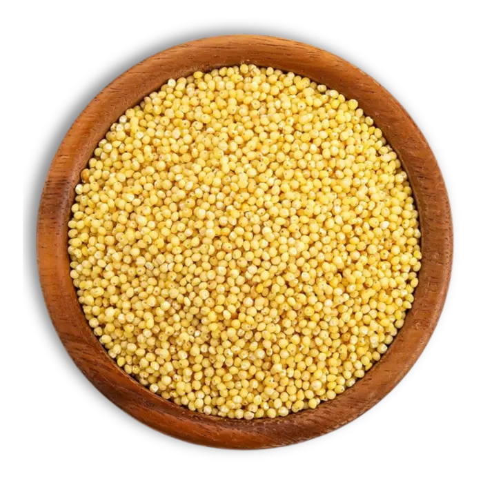 Premium Kangni-Foxtail millet grains for export
