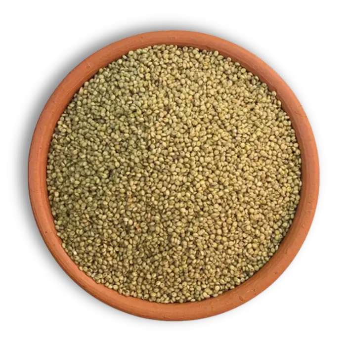 Premium Kutki-Little millet grains for export