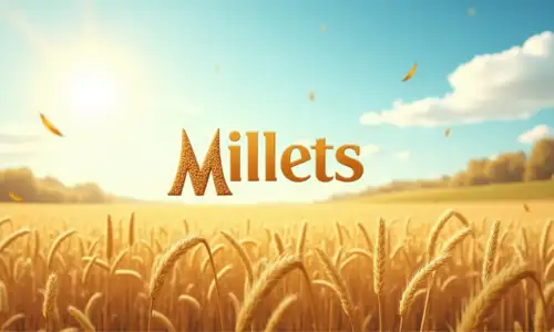 Millet Products