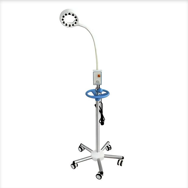 Multiple-LED-With-Intensity-Control-Magnifying-Lens