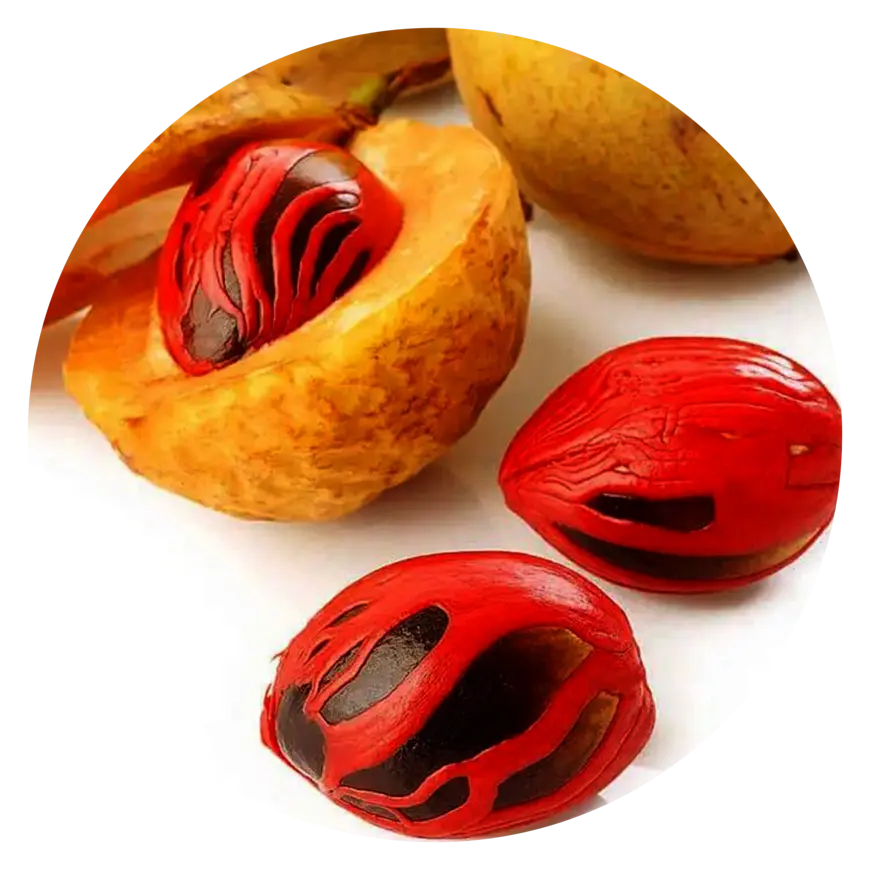 Nutmeg-Mace
