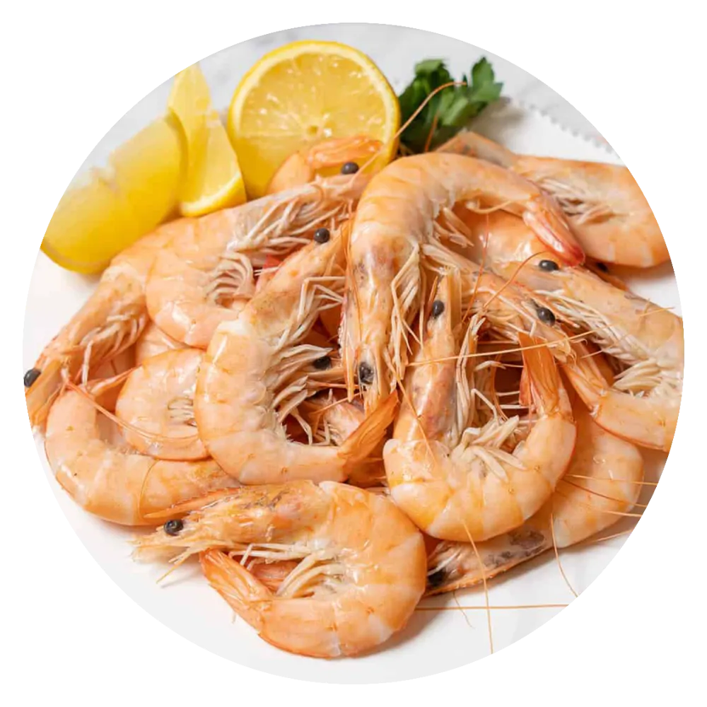 Prawns