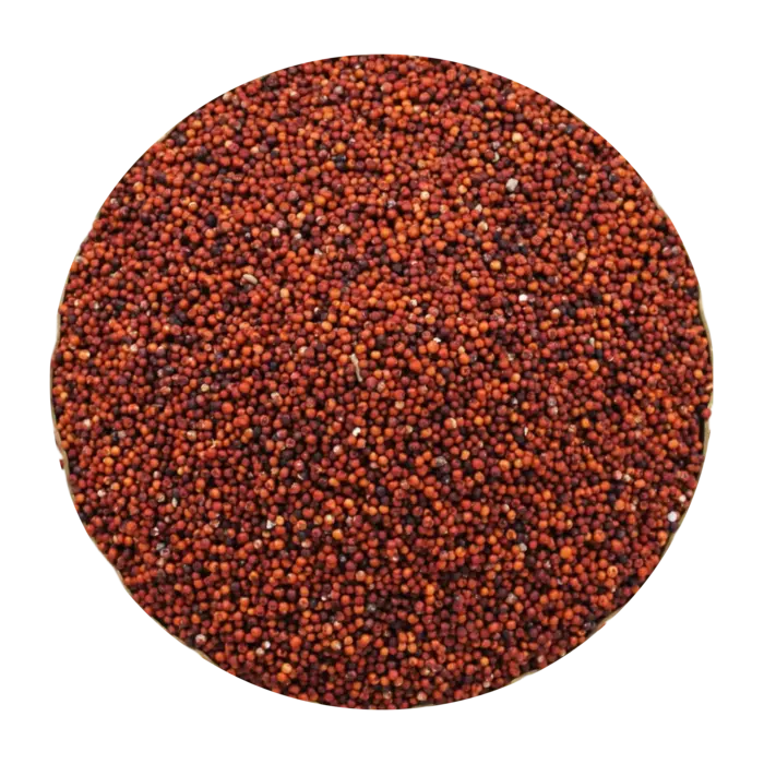 Premium Ragi-Finger millet grains for export