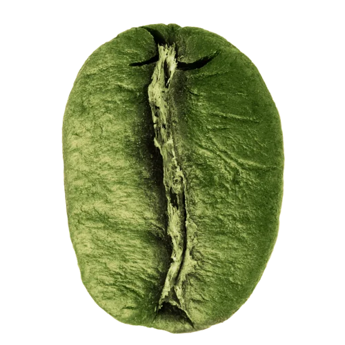 Green Robusta Bean