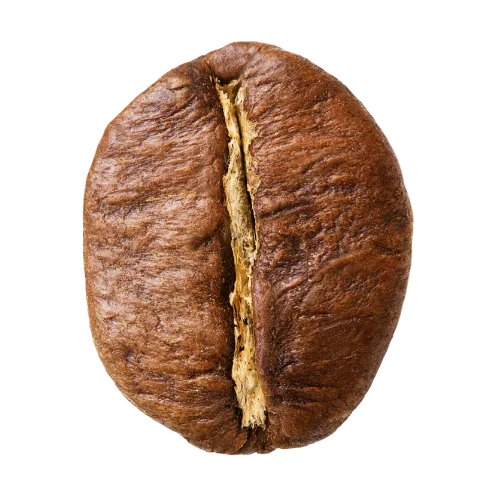 Roasted Robusta Bean