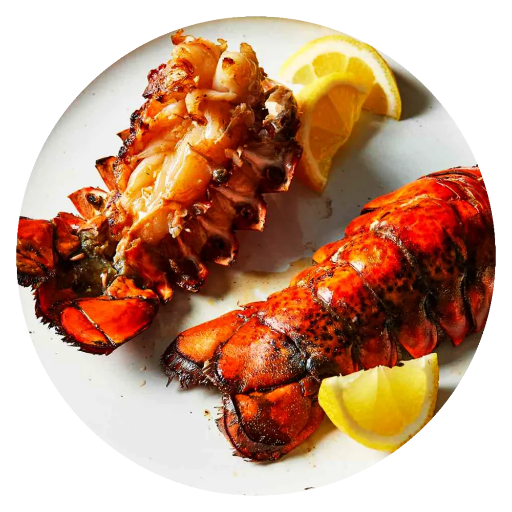Sand-Lobster