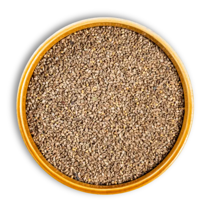 Premium Sanwa-Barnyard millet grains for export