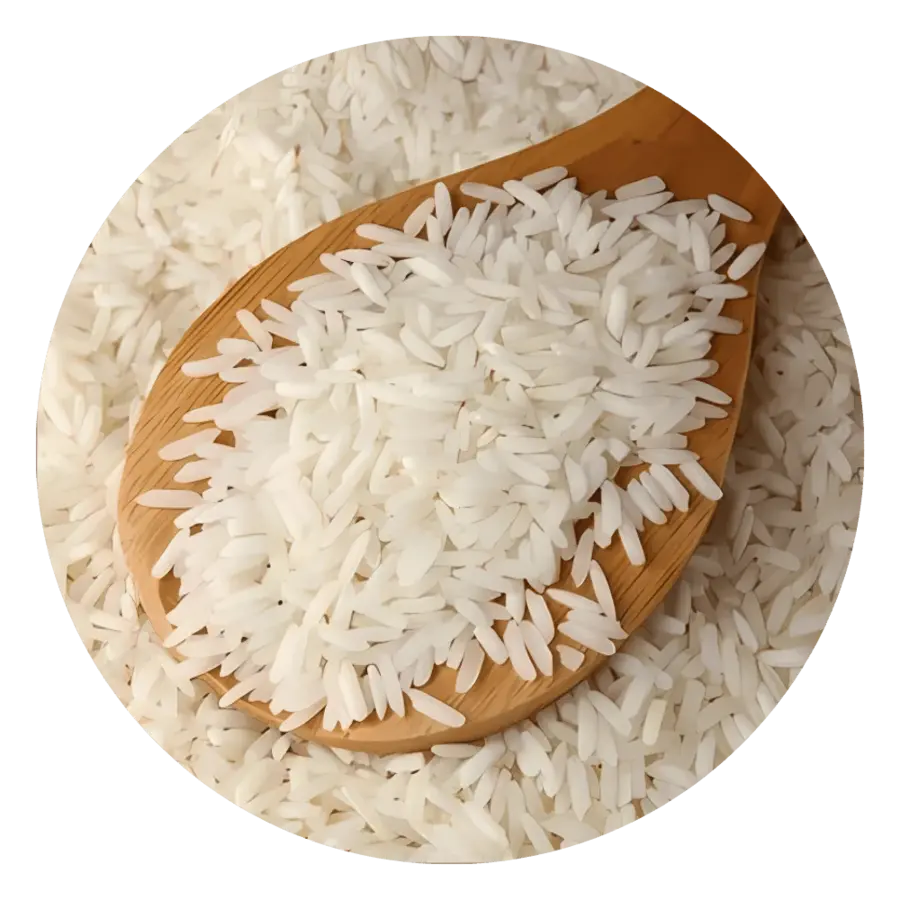 Sugandha Raw Rice